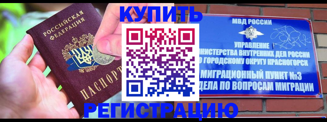 прописка законно в Коле